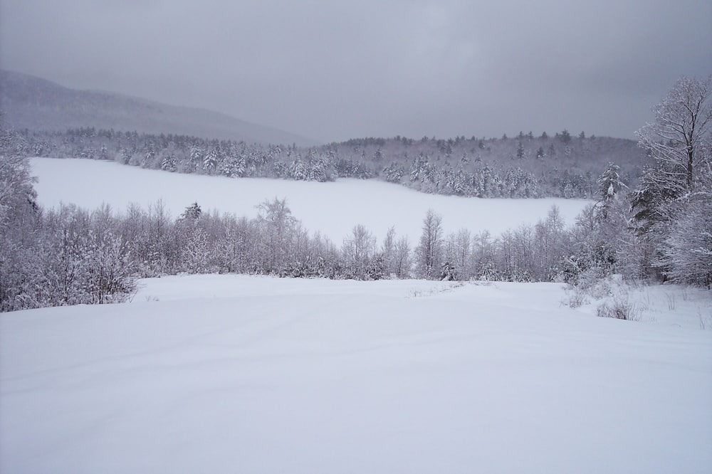Photo of Others in Stoddard