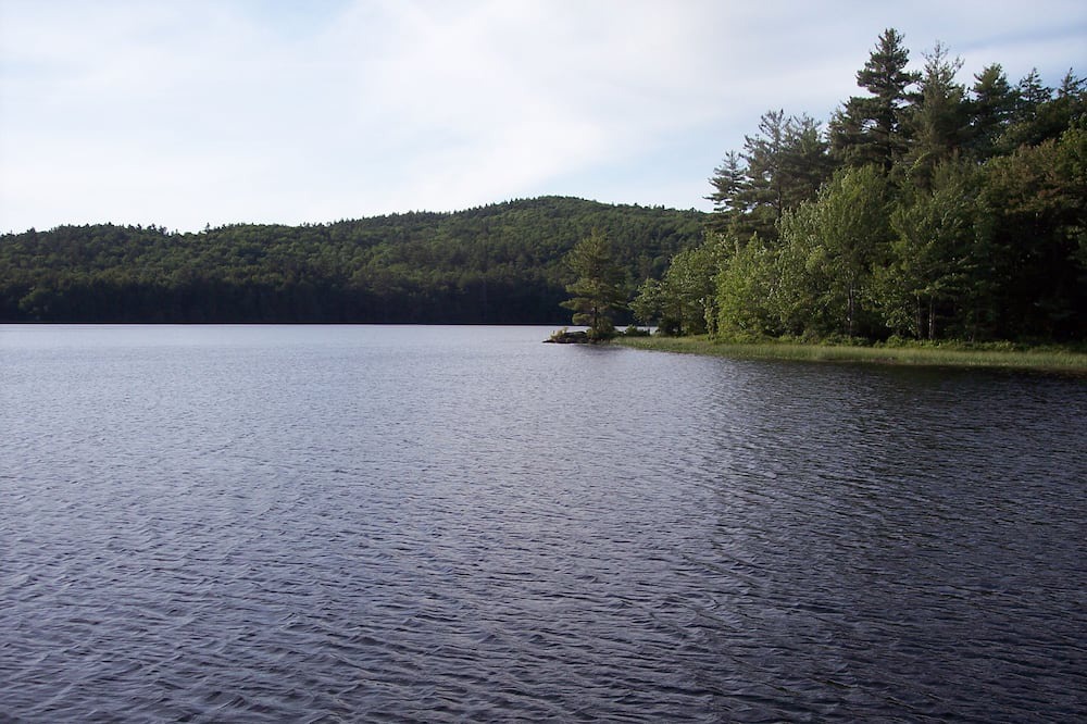Photo of Outdoor in Stoddard