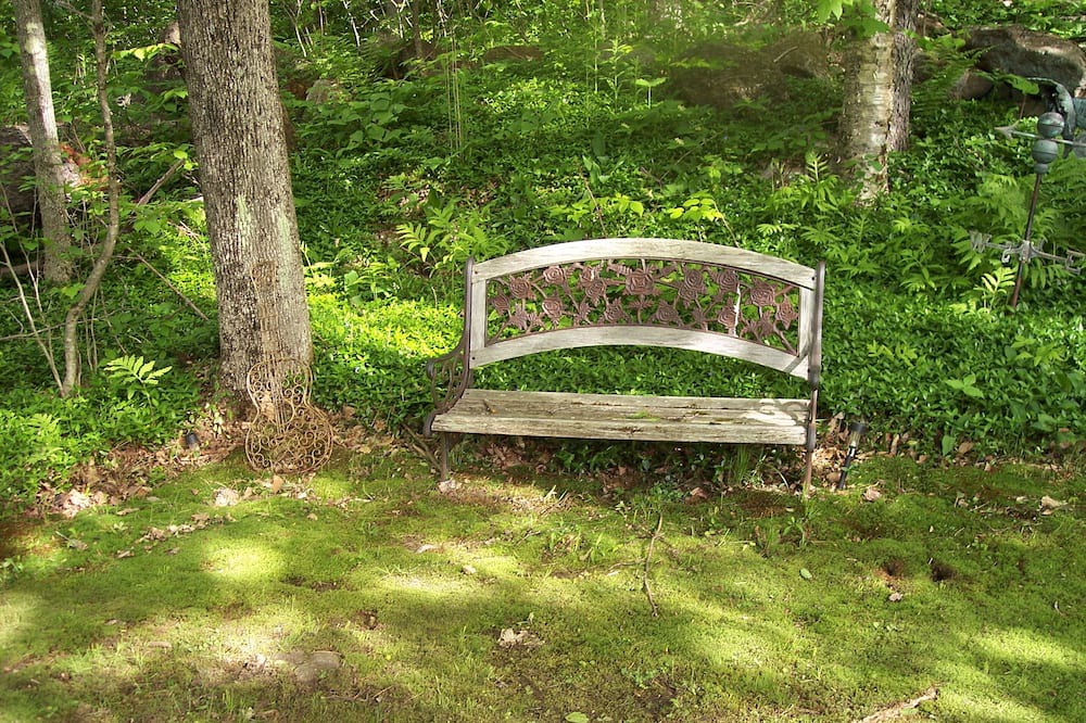 Photo of Outdoor in Stoddard