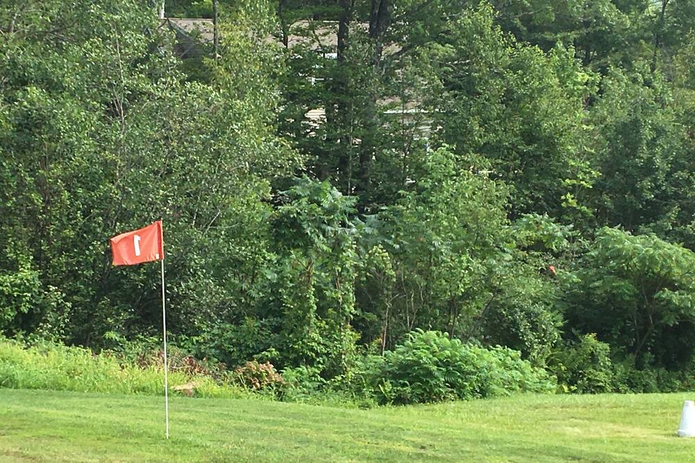 Photo of Outdoor in Stoddard
