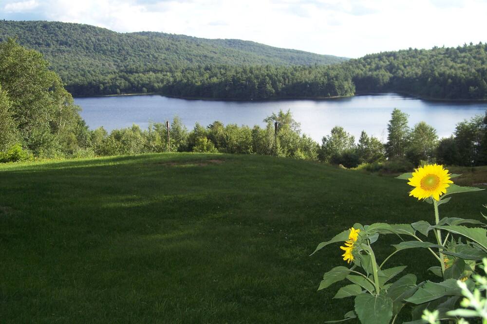 Photo of Outdoor in Stoddard