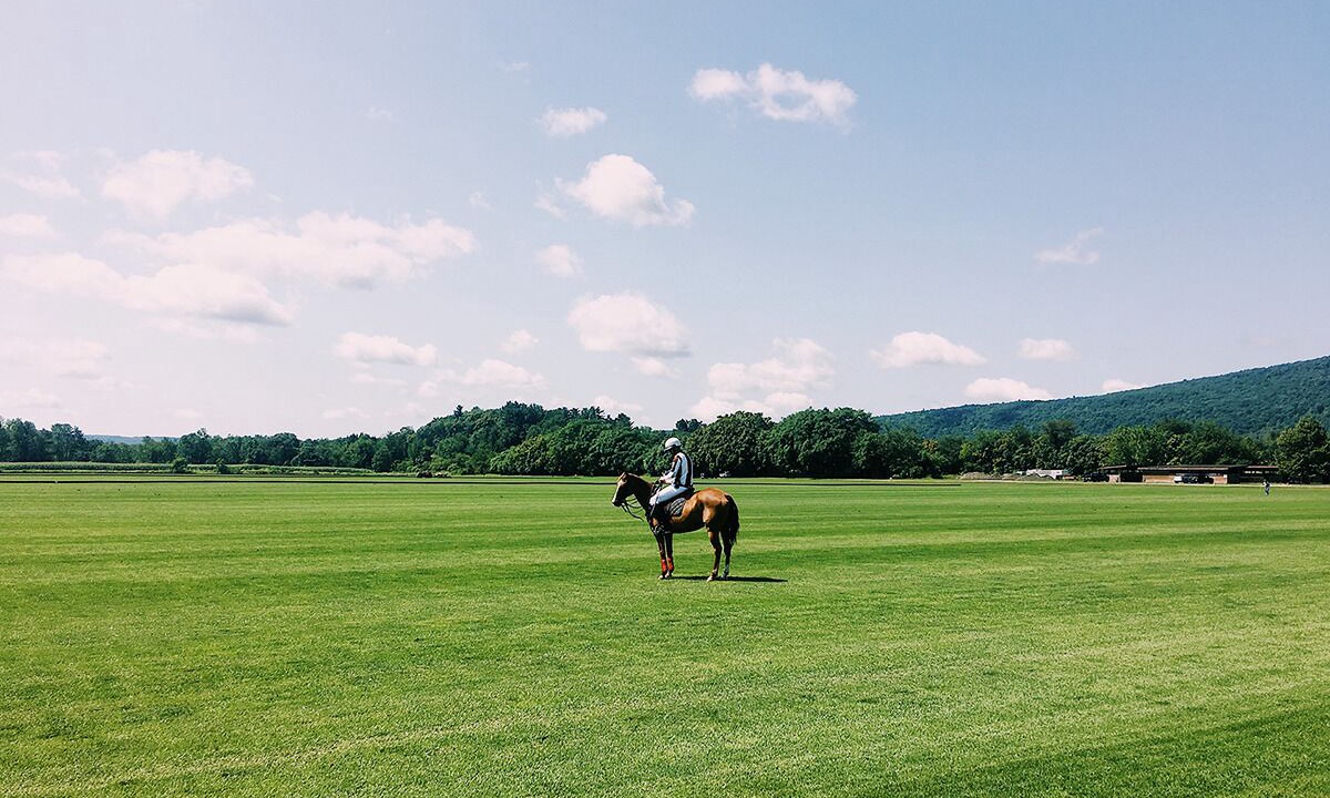 Photo of Others in Pine Plains