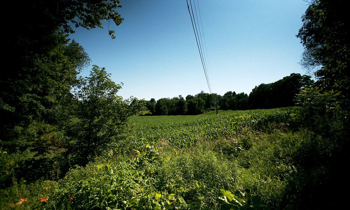 Photo of Outdoor in Pine Plains