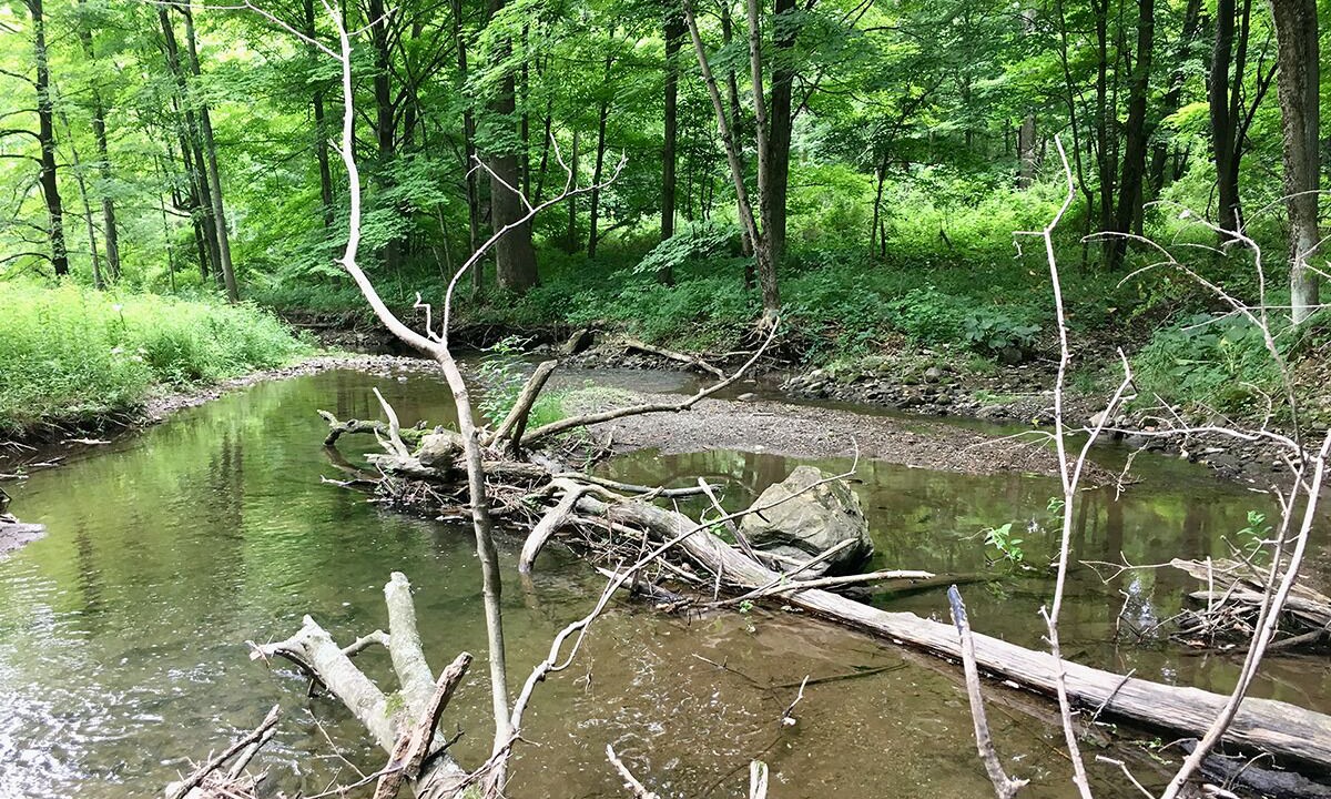 Photo of Outdoor in Pine Plains