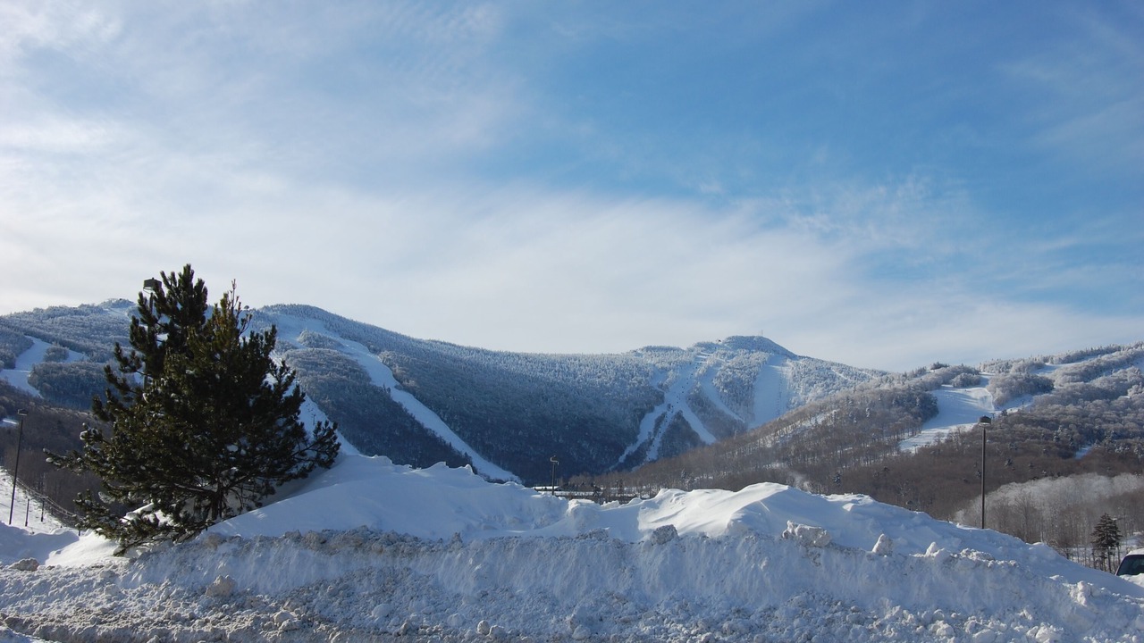 Photo of Others in Bridgewater Corners
