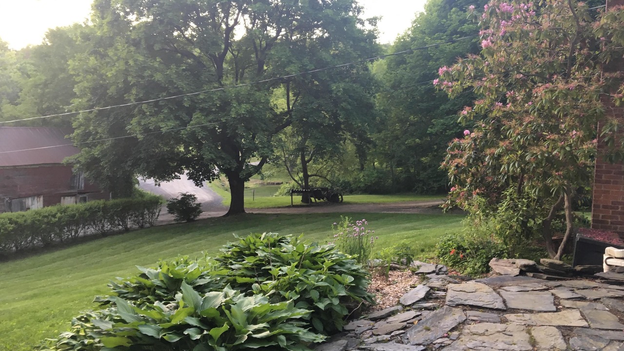 Photo of Outdoor in Town of Copake