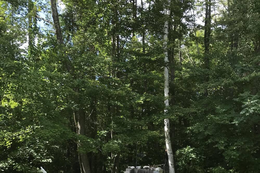 Photo of Outdoor in Bridgewater