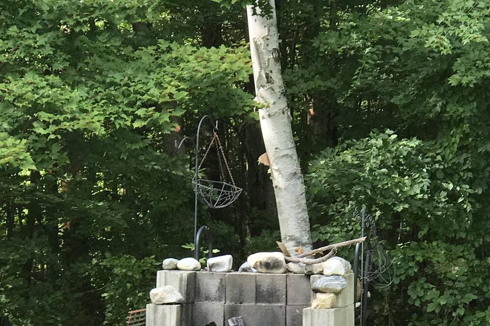 Photo of Others in Bridgewater