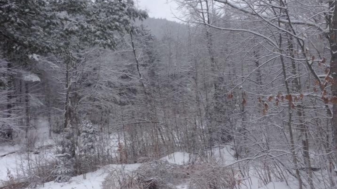 Photo of Outdoor in Wardsboro