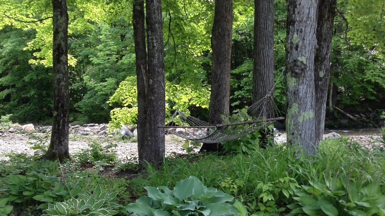 Photo of Outdoor in Wardsboro