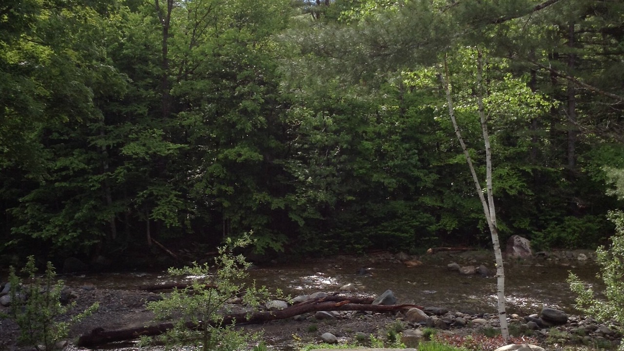 Photo of Outdoor in Wardsboro