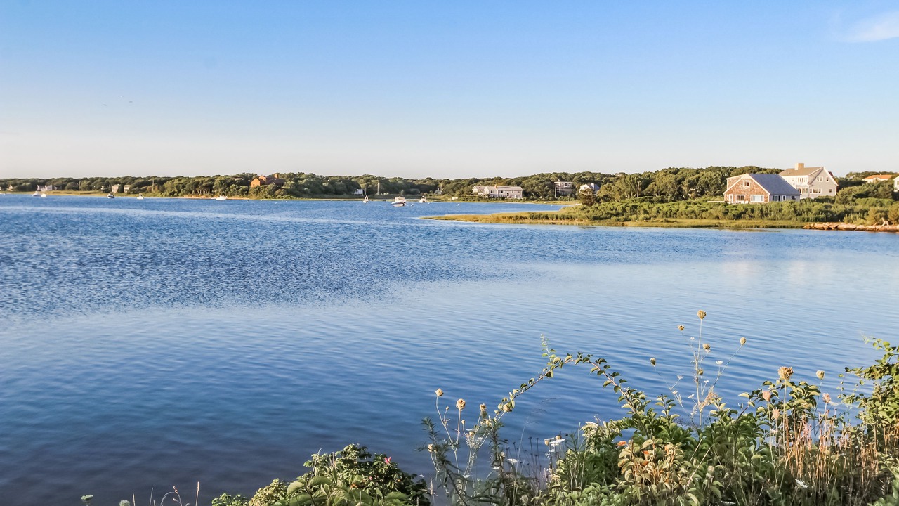Photo of Outdoor in Mara Vista