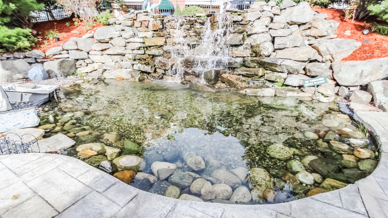 Photo of Outdoor in Ogunquit