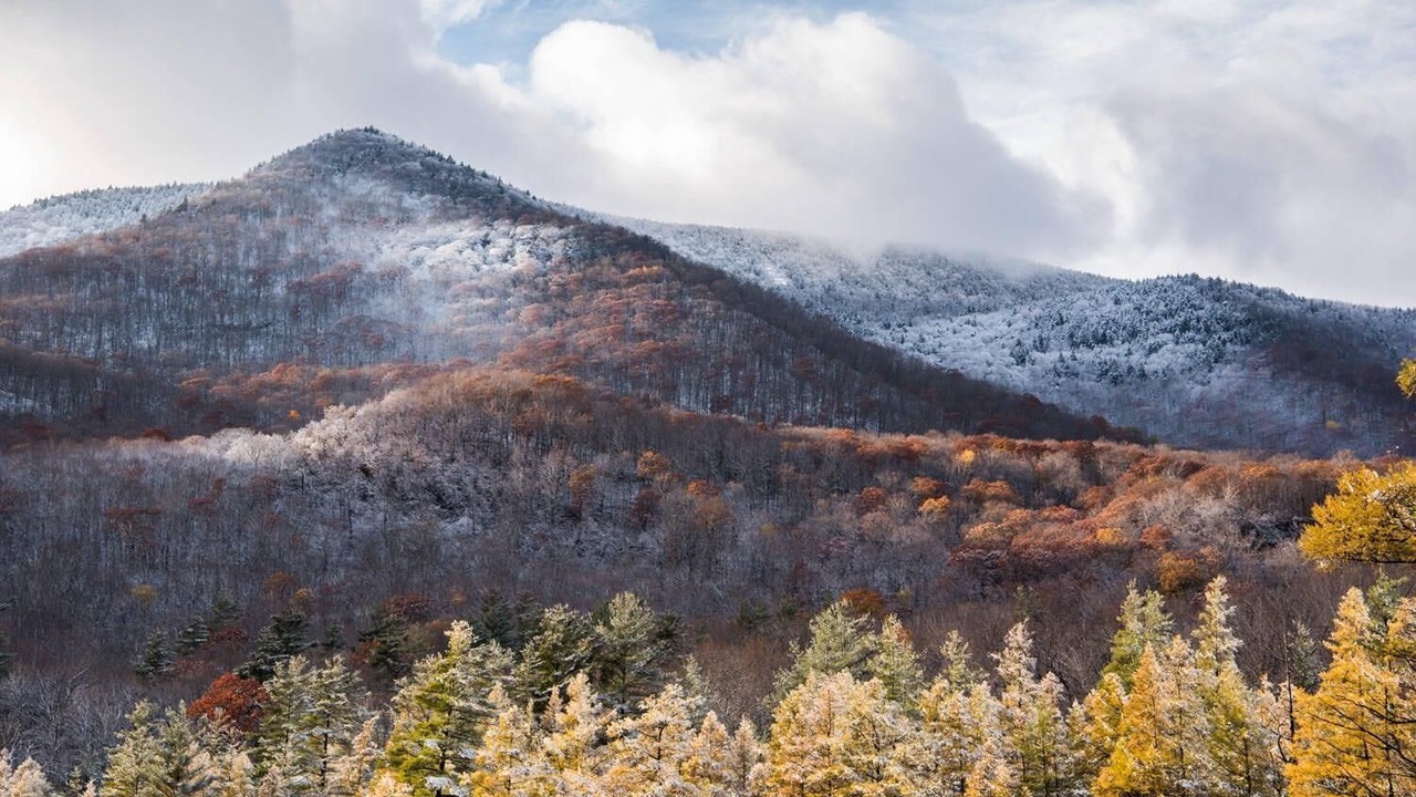 Photo of Others in Bromley Mountain