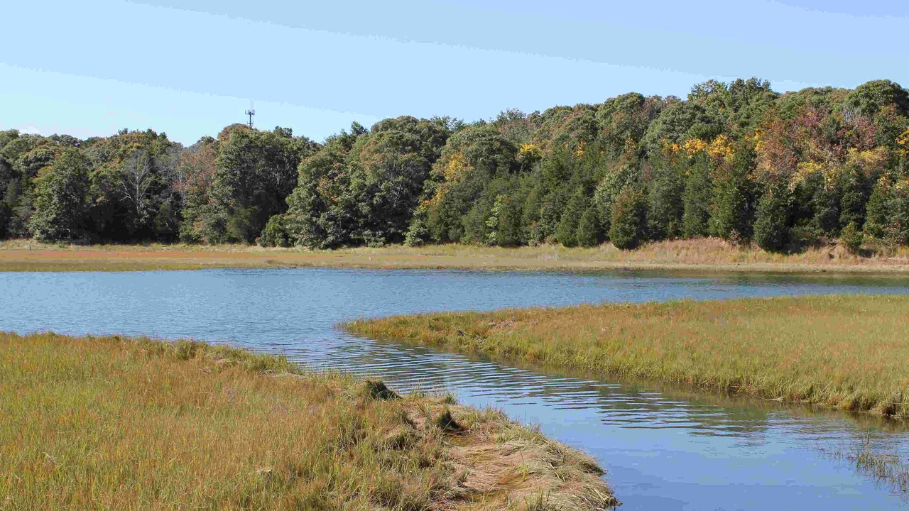 Photo of Outdoor in Eastham
