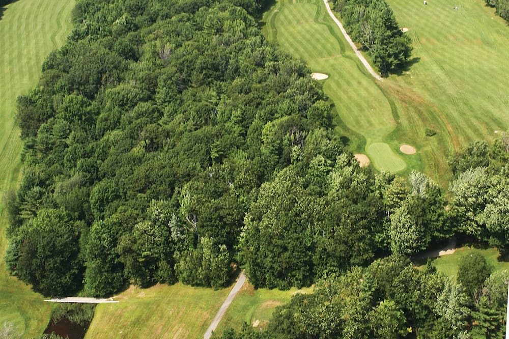 Photo of Outdoor in Francestown