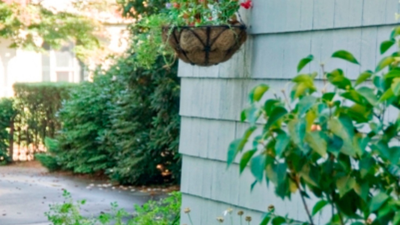Photo of Outdoor in Top of the Hill