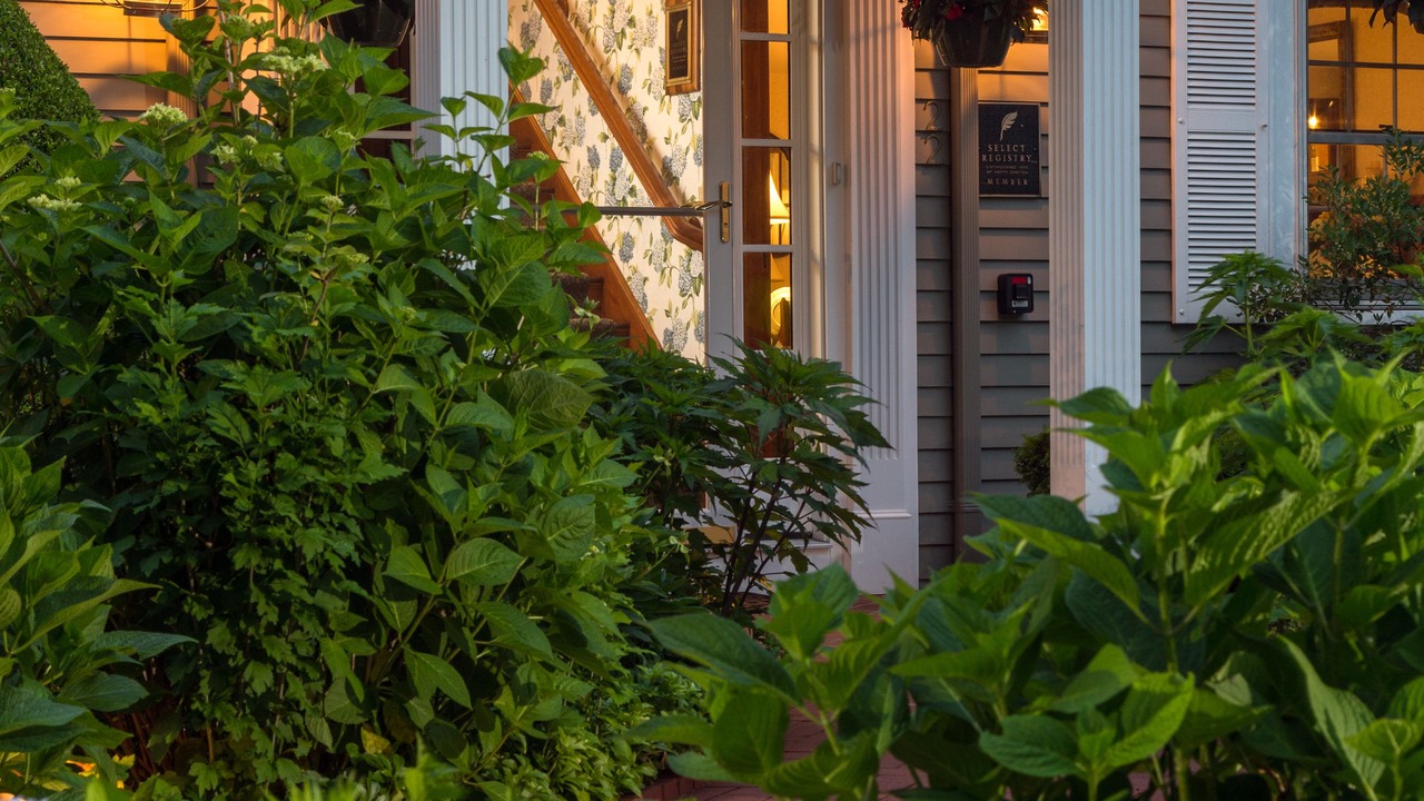 Photo of Outdoor in Chatham