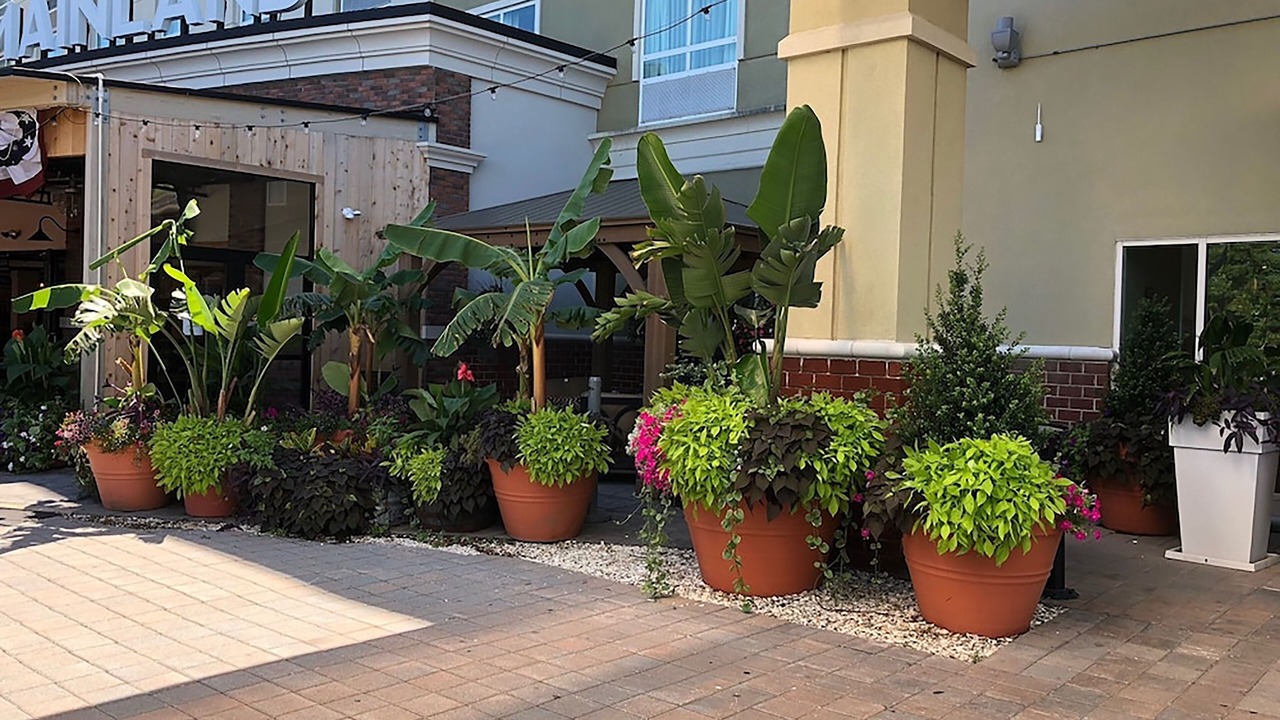 Photo of Outdoor in Manahawkin