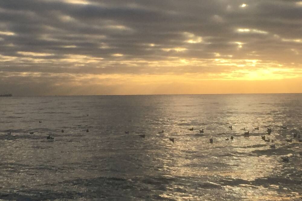 Photo of Others in Westport