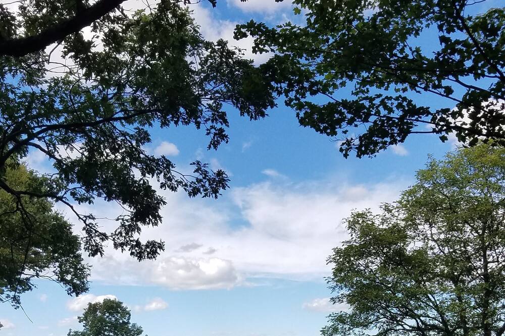 Photo of Others in Rhinebeck