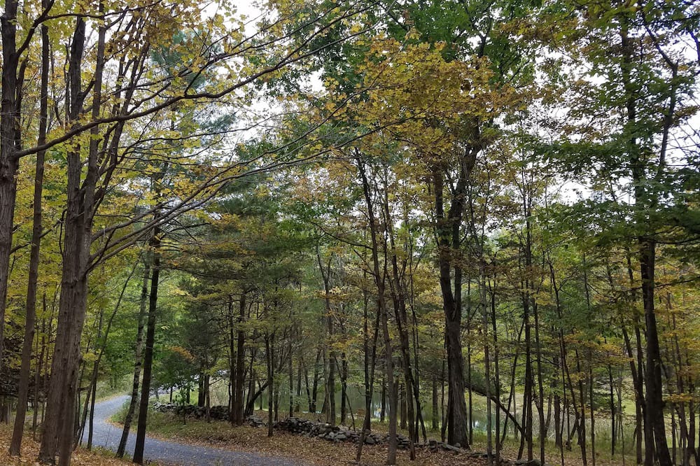 Photo of Others in Rhinebeck