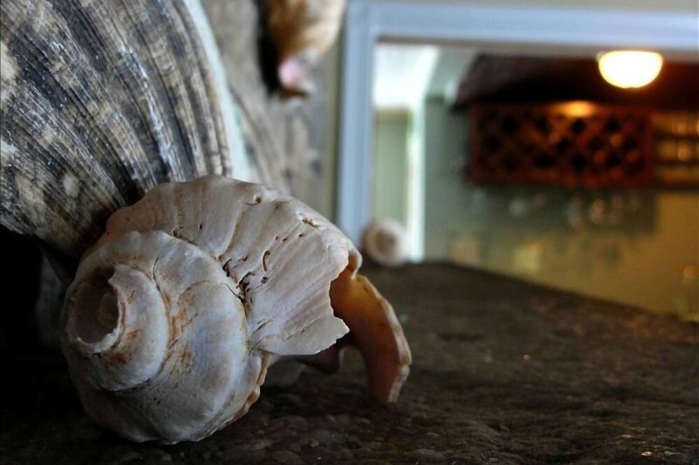 Photo of Others in Niantic