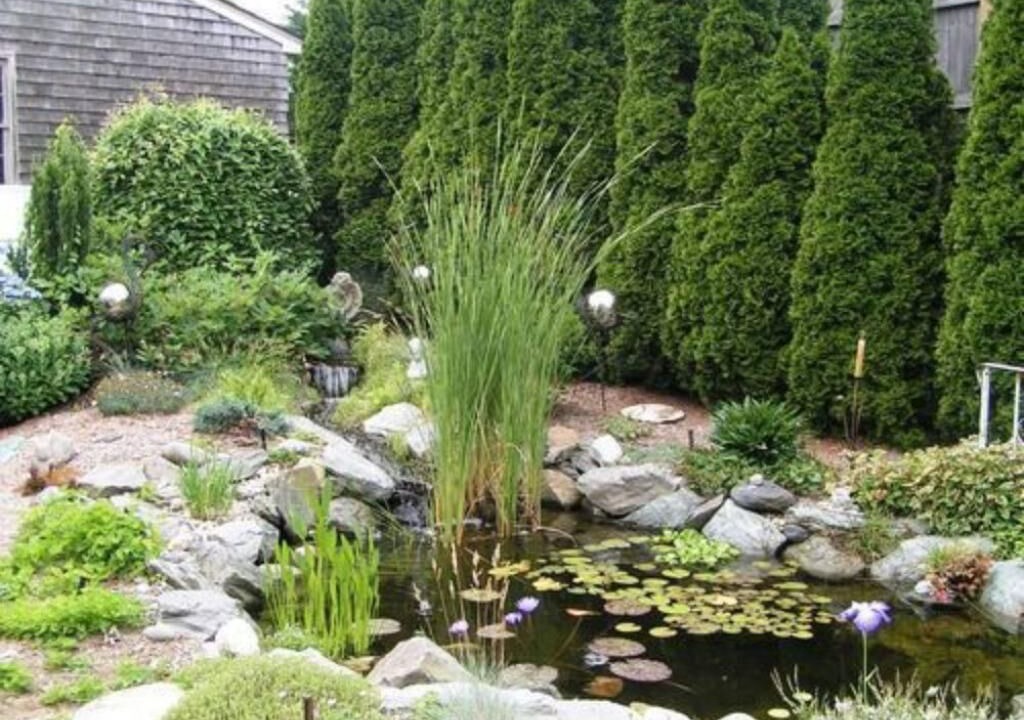Photo of Outdoor in Top of the Hill