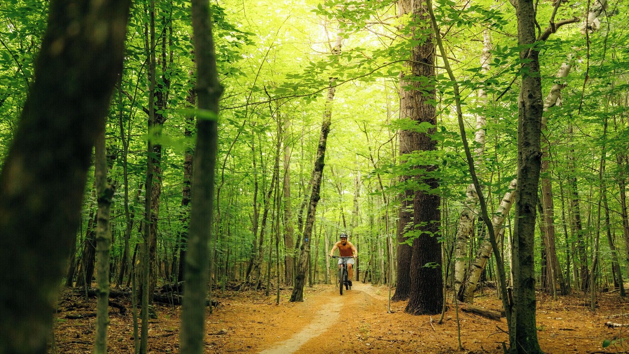 Photo of Outdoor in Wilmington