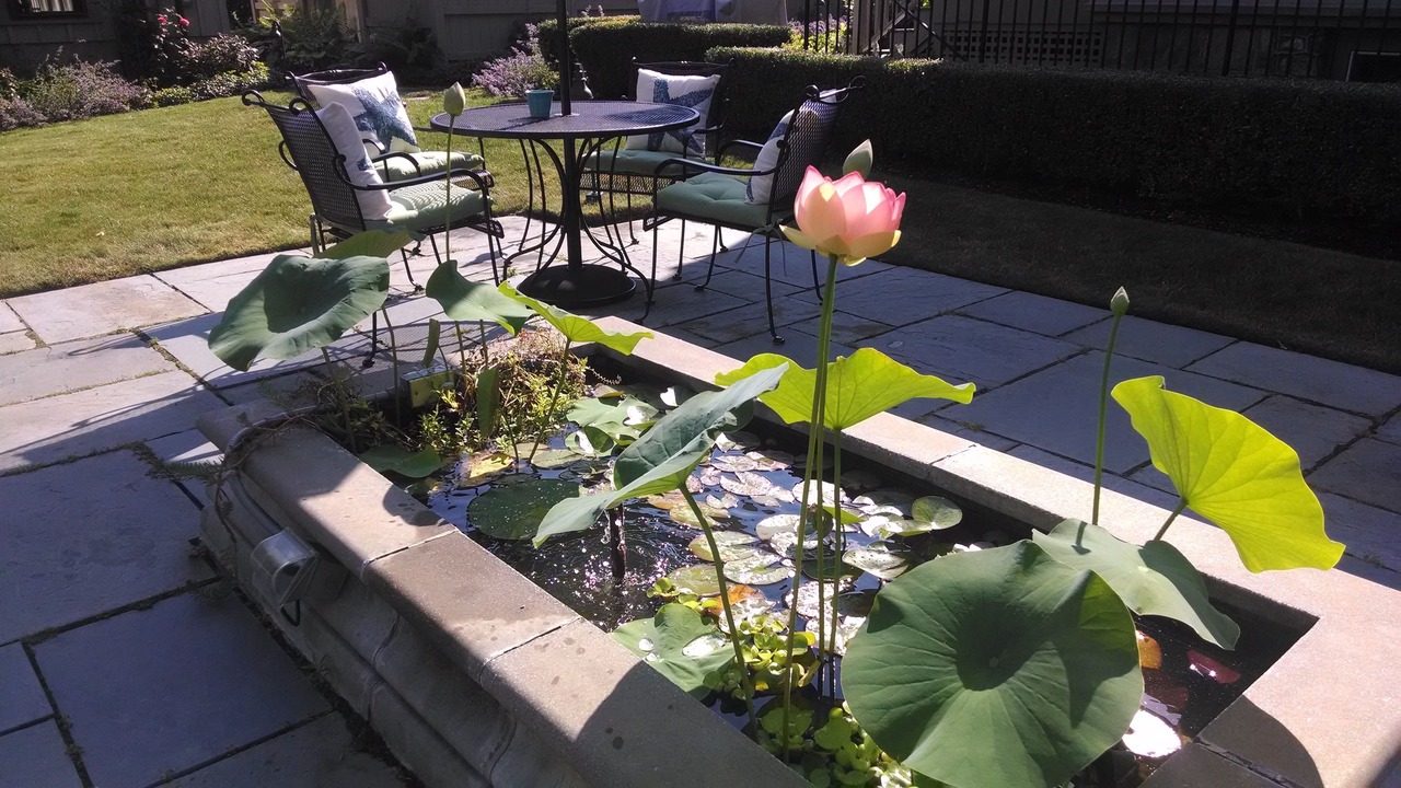 Photo of Outdoor in Newport