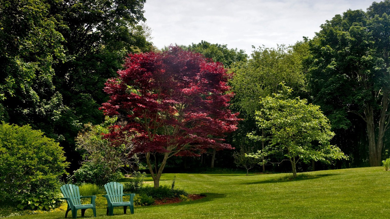Photo of Outdoor in Falmouth