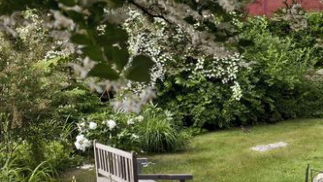 Photo of Outdoor in Falmouth
