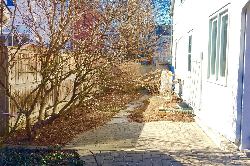 Photo of Outdoor in Kingston