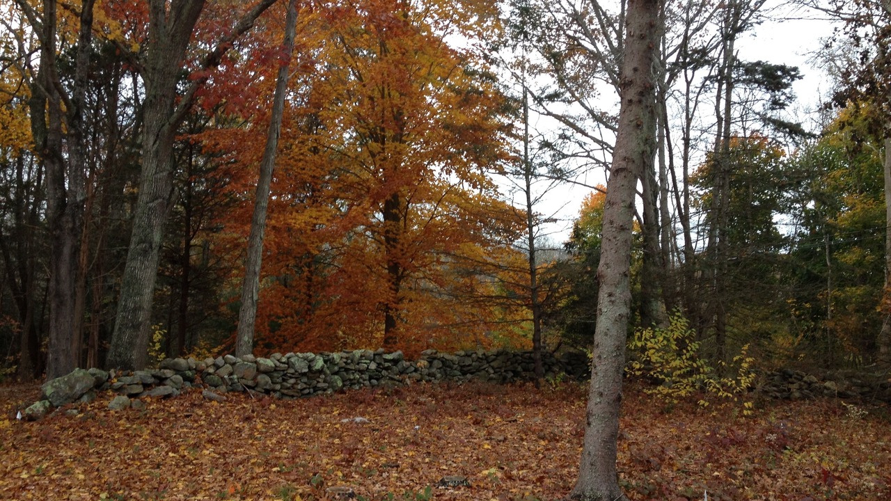 Photo of Outdoor in North Stonington