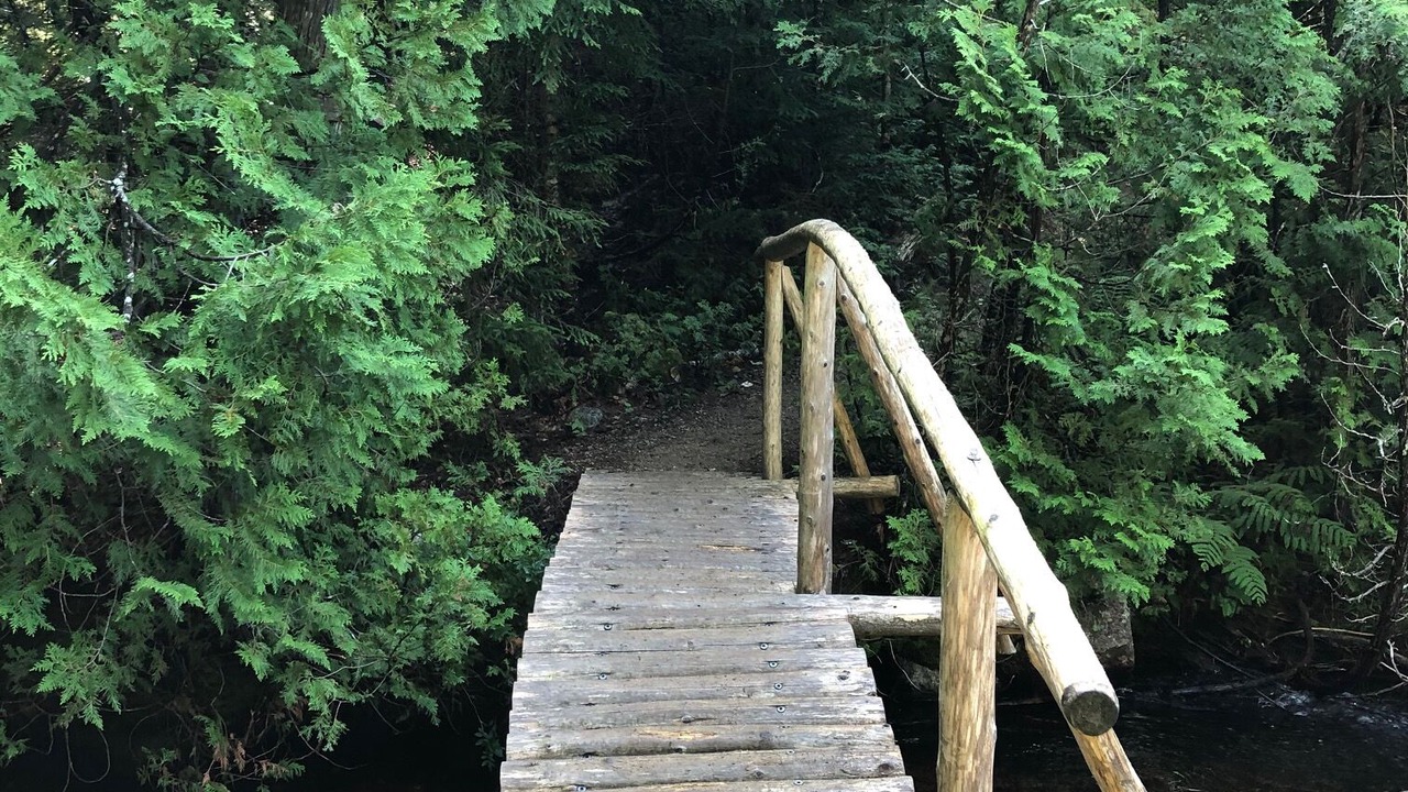 Photo of Outdoor in Northeast Harbor