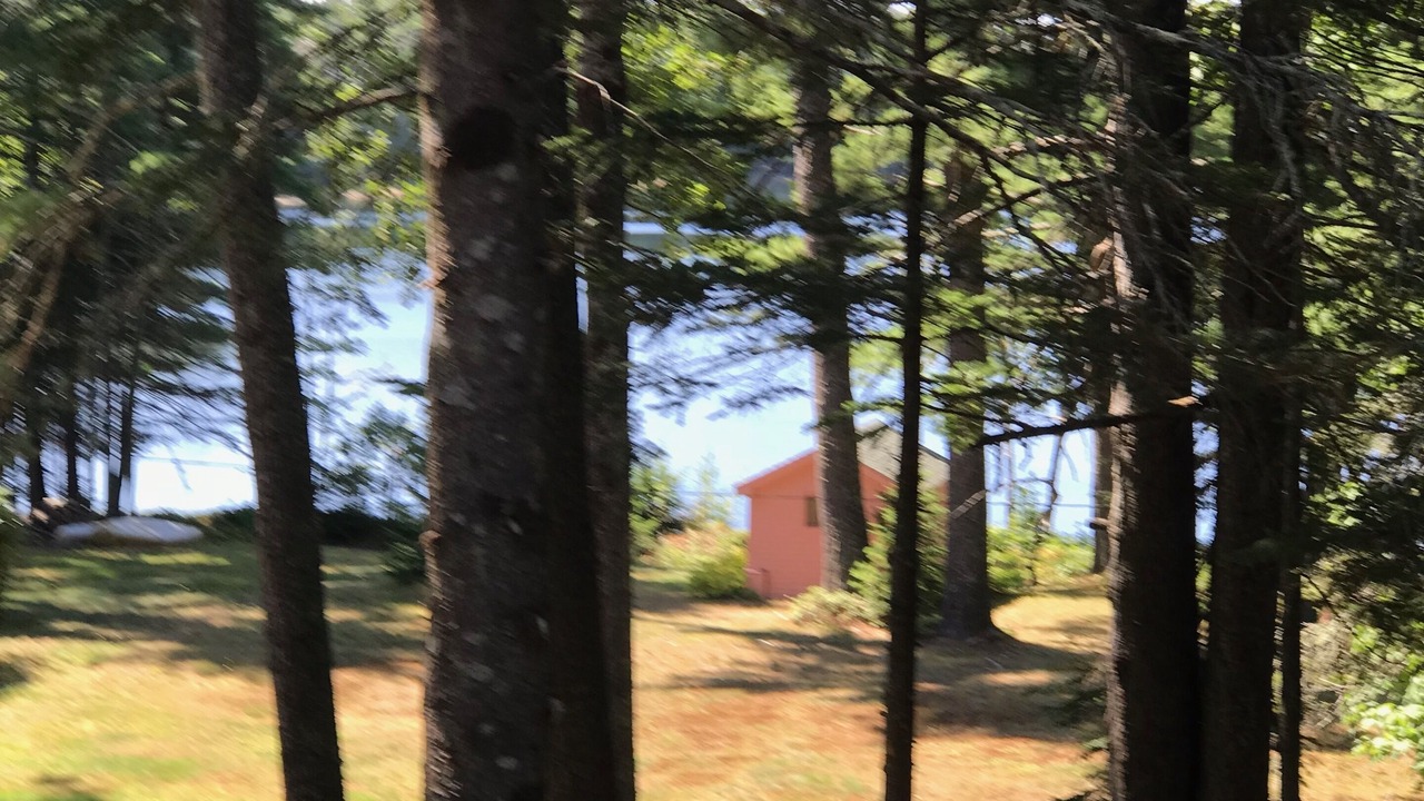 Photo of Outdoor in Northeast Harbor