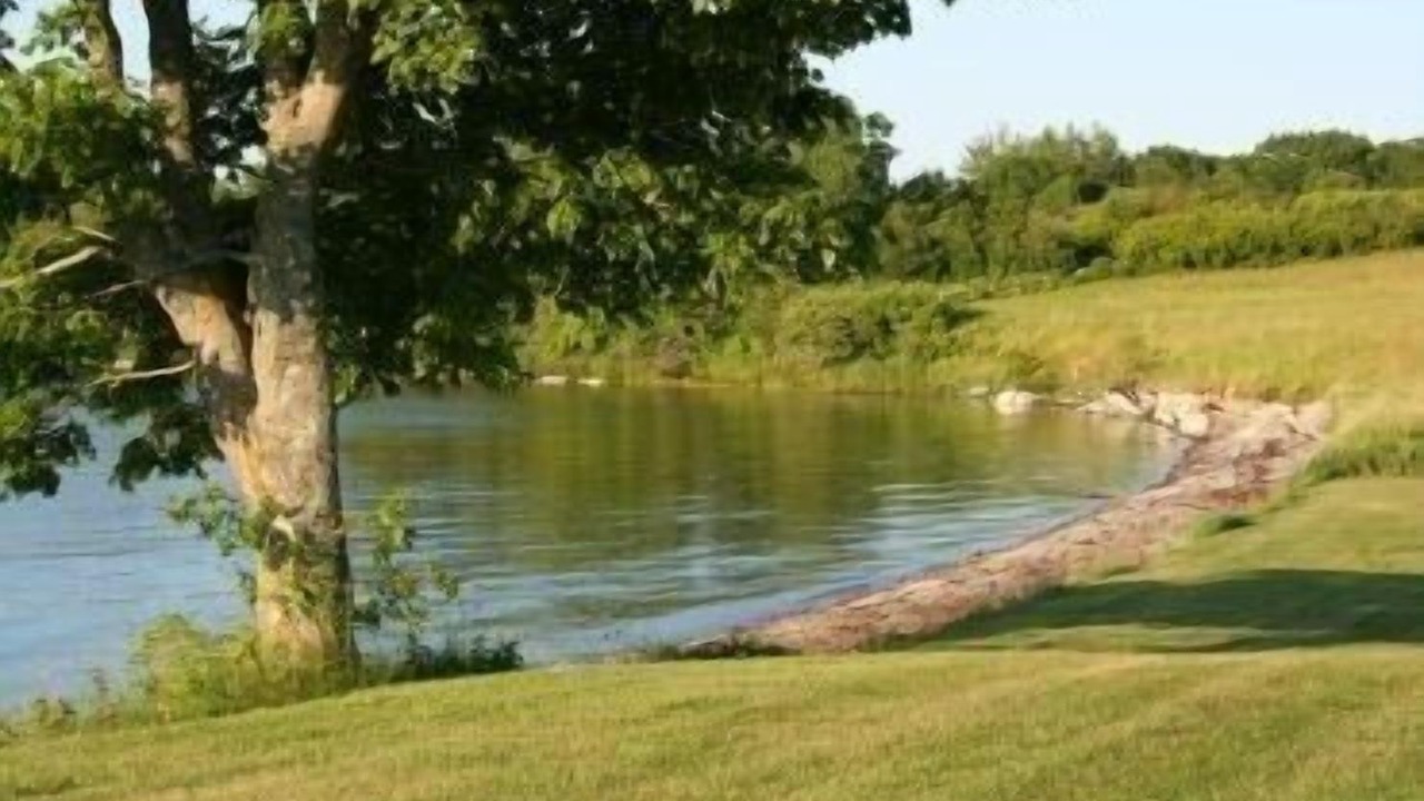 Photo of Outdoor in Deer Isle