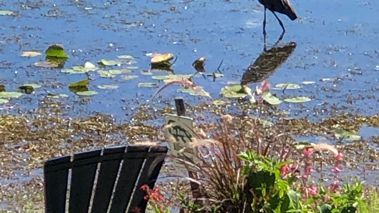 Photo of Others in Malletts Bay