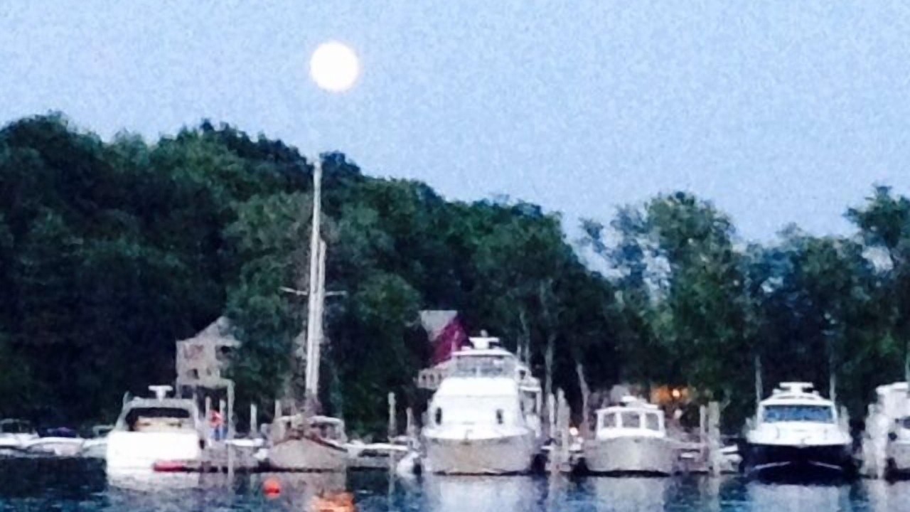 Photo of Others in Malletts Bay
