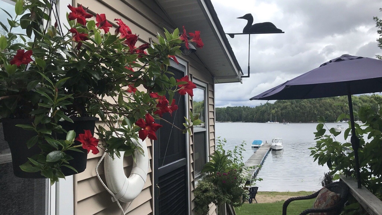 Photo of Outdoor in Malletts Bay
