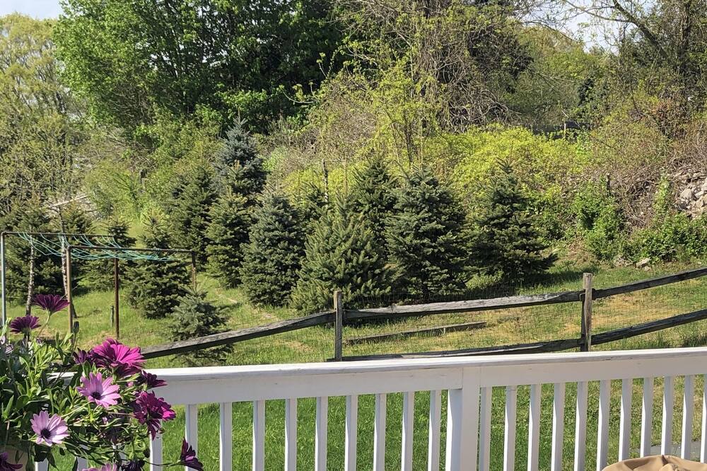 Photo of Patio Balcony in Westport