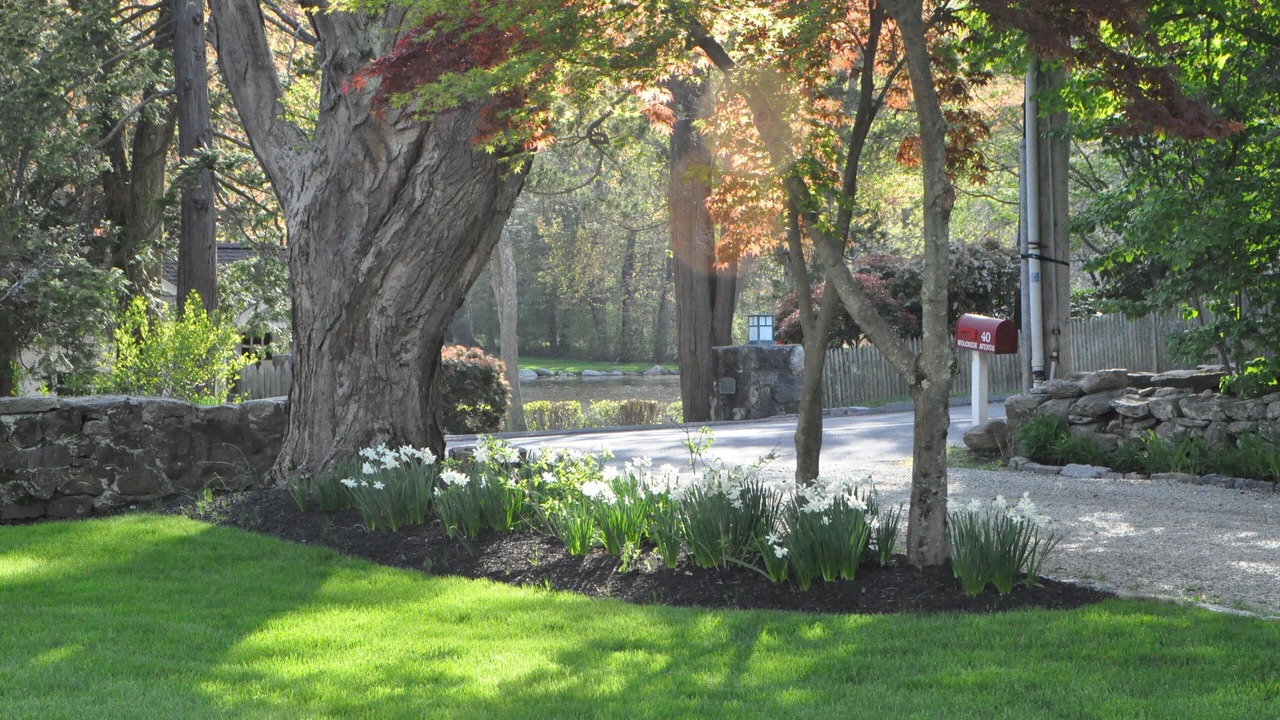 Photo of Outdoor in Westport