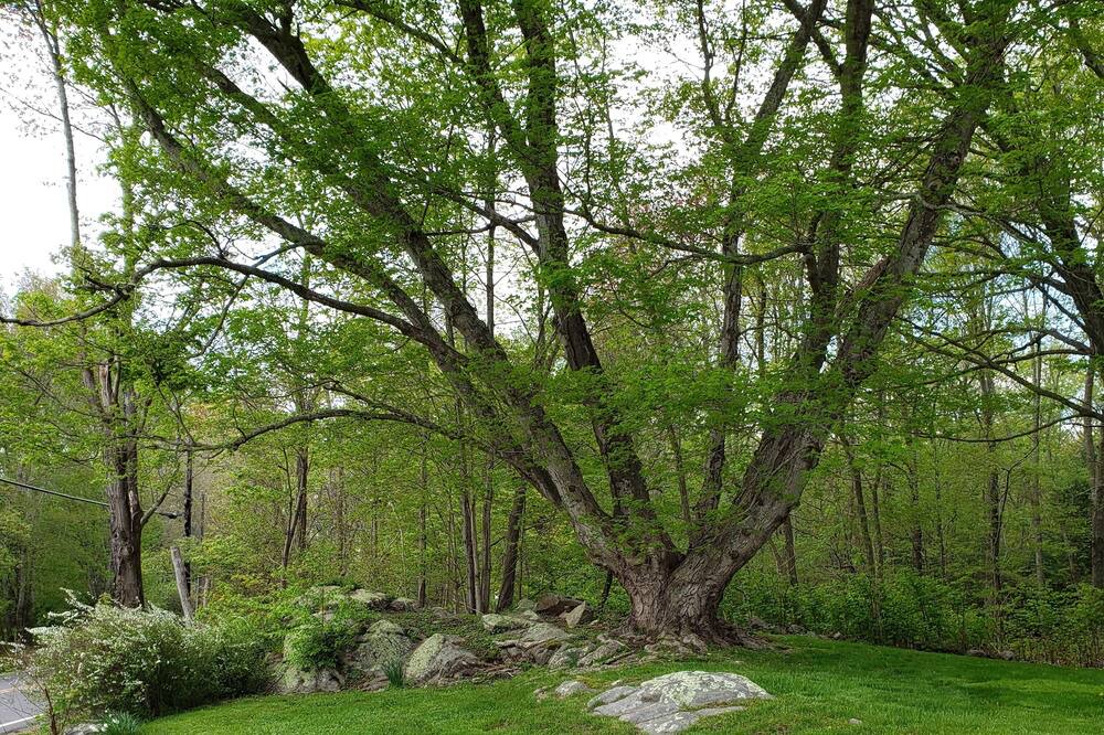 Photo of Others in North Stonington
