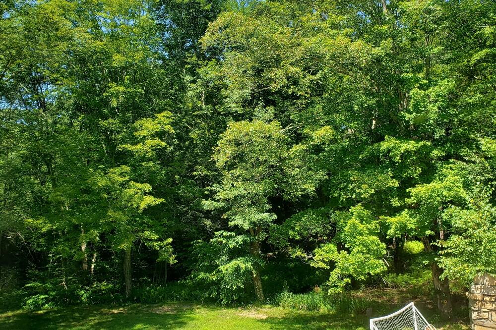 Photo of Outdoor in North Stonington