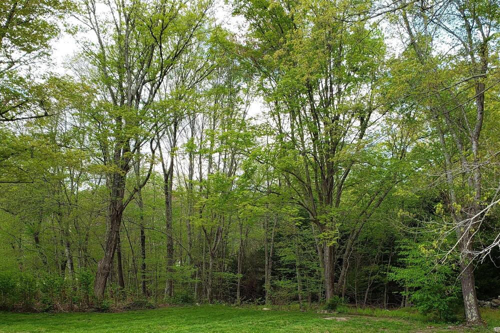 Photo of Others in North Stonington