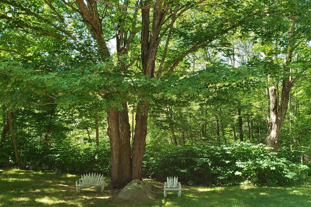 Photo of Outdoor in North Stonington