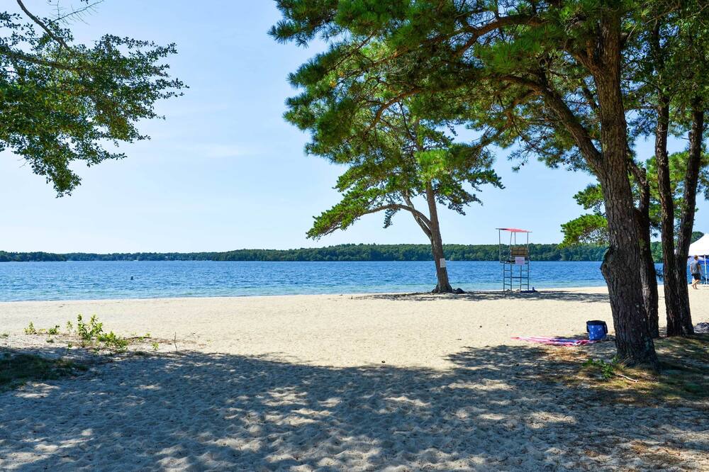 Photo of Others in Mashpee