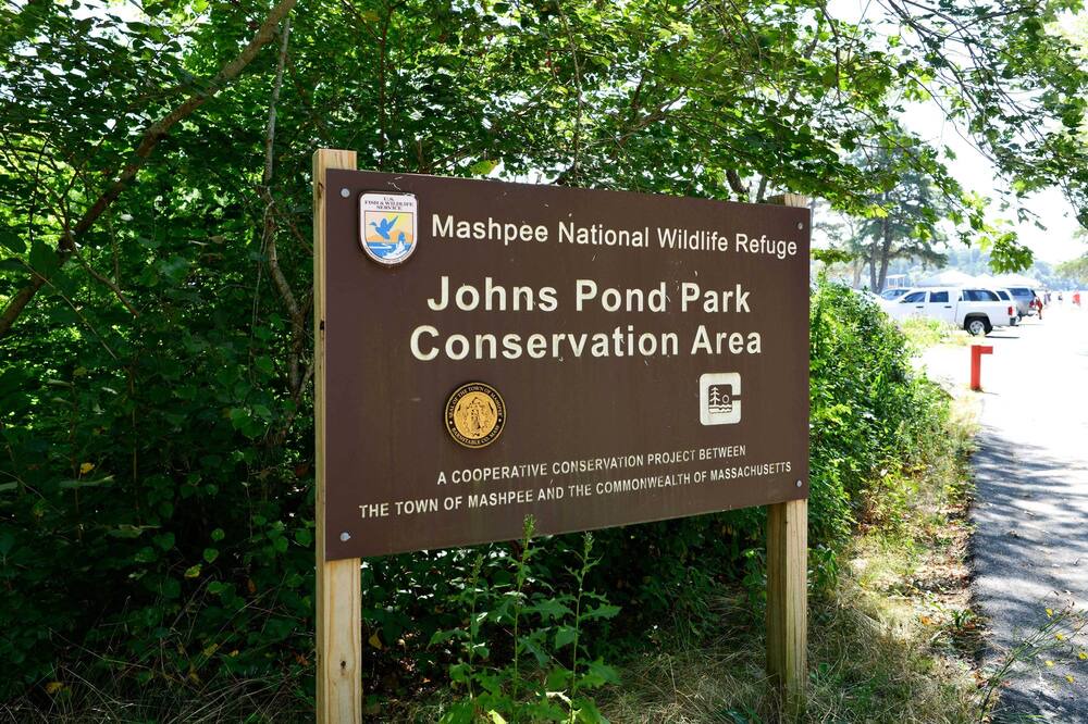 Photo of Outdoor in Mashpee