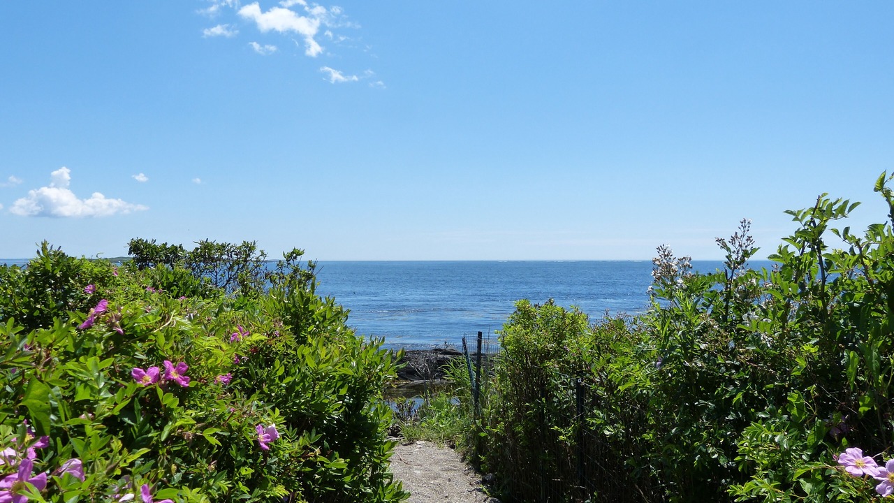 Photo of Others in Mid-Coast and Islands