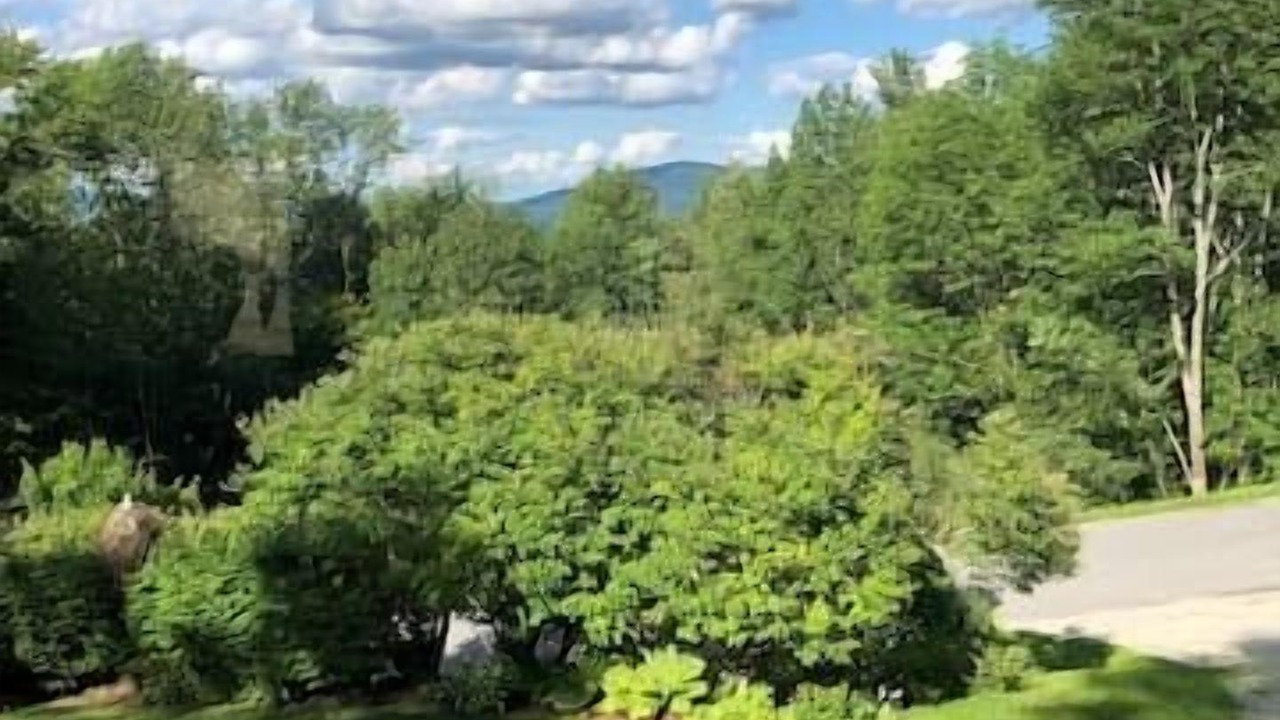 Photo of Outdoor in Stratton Mountain